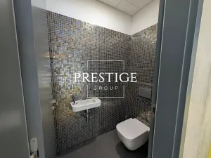 Pronájem obchodního prostoru, Praha - Karlín, Sokolovská, 210 m2