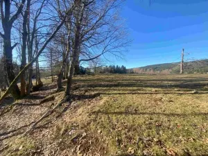 Dražba pozemku, Železná Ruda, 1644 m2