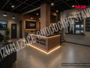 Prodej výrobních prostor, Kutná Hora - Sedlec, Vítězná, 4992 m2