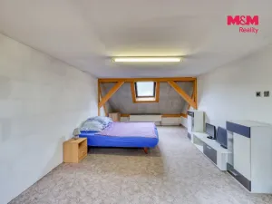 Prodej rodinného domu, Bor - Holostřevy, 200 m2