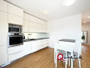 Pronájem bytu 2+kk, Praha - Smíchov, Holečkova, 54 m2