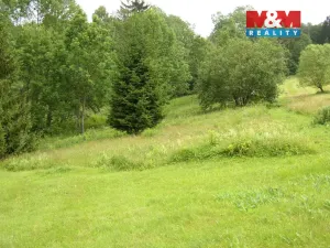Prodej louky, Benecko, 4214 m2