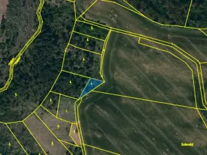 Prodej lesa, Slavičky - Pozďátky, 560 m2