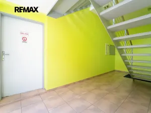 Prodej komerční nemovitosti, Kolín, Havlíčkova, 465 m2