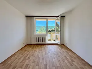 Pronájem bytu 1+1, Brno, Palackého třída, 39 m2
