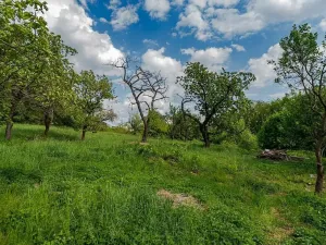 Prodej pozemku pro bydlení, Veliny, 1236 m2