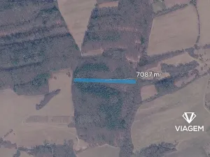 Prodej podílu lesa, Březůvky, 2952 m2