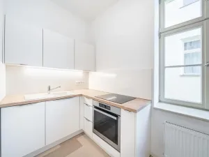 Pronájem bytu 1+1, Plzeň - Vnitřní Město, Veleslavínova, 38 m2