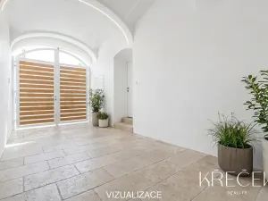 Prodej obchodního prostoru, Třebíč, Bedřicha Václavka, 250 m2