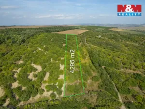 Prodej pole, Židlochovice, 4295 m2