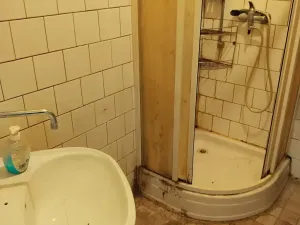 Pronájem vícegeneračního domu, Miroslav, Česká, 250 m2