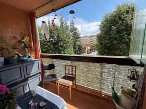 Prodej bytu 2+1, Horní Slavkov, U Lesoparku, 61 m2