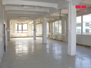 Pronájem výrobních prostor, Nová Paka, Kotíkova, 330 m2