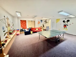 Prodej činžovního domu, Ostružná - Ramzová, 73 m2