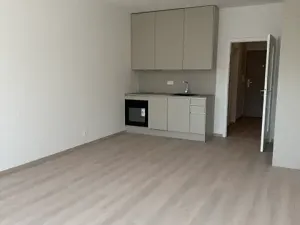 Pronájem bytu 1+kk, Praha - Vysočany, Gerstelova, 48 m2