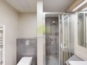 Pronájem bytu 1+kk, Olomouc, Frištenského, 32 m2