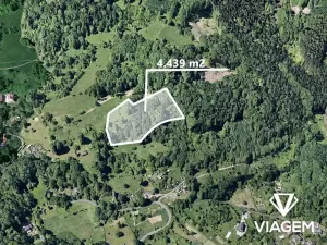 Prodej lesa, Děčín, 4439 m2