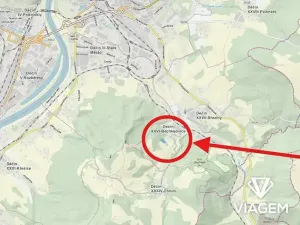Prodej lesa, Děčín, 4439 m2