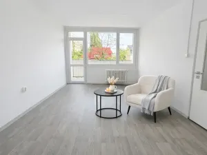 Pronájem bytu 1+1, Litvínov, U Bílého sloupu, 40 m2