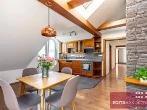 Prodej bytu 3+kk, Olomouc, Hodolanská, 112 m2