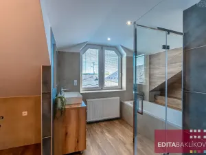 Prodej bytu 3+kk, Olomouc, Hodolanská, 112 m2