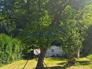 Prodej pozemku pro bydlení, Žabovřesky, 705 m2