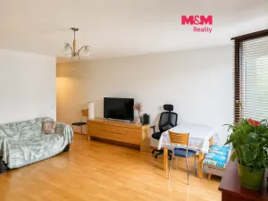 Pronájem bytu 1+kk, Praha - Podolí, Dvorecká, 50 m2