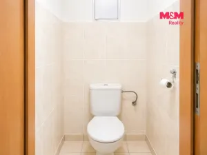 Pronájem bytu 1+kk, Praha - Podolí, Dvorecká, 50 m2