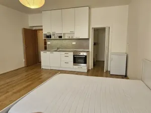Pronájem bytu 1+kk, Plzeň - Východní Předměstí, Sladkovského, 36 m2