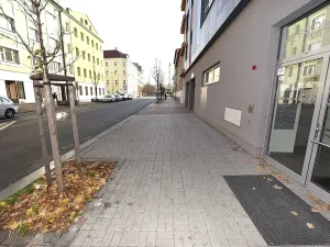 Prodej bytu 2+kk, Praha - Vršovice, Petrohradská, 114 m2