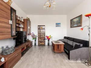 Prodej bytu 2+1, Sezimovo Ústí, Krátká, 46 m2