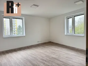 Prodej bytu 1+1, Ostrava, Opavská, 46 m2