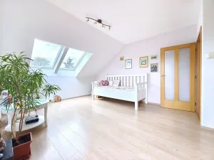 Prodej rodinného domu, Nový Vestec, U Tří Cest, 224 m2