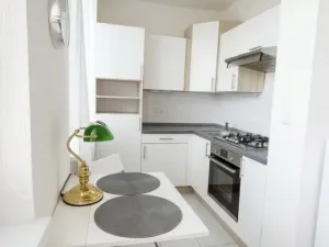 Prodej bytu 1+kk, Prostějov - Vrahovice, sídl. Svornosti, 30 m2