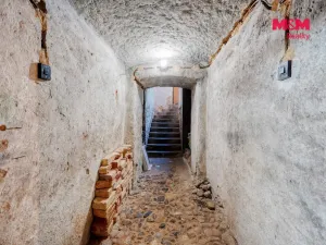 Prodej rodinného domu, Plzeň - Jižní Předměstí, Kotkova, 343 m2