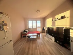 Prodej bytu 1+kk, Ostrava - Zábřeh, Petruškova, 28 m2