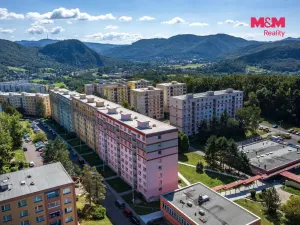 Prodej bytu 1+1, Ústí nad Labem - Mojžíř, Peškova, 35 m2