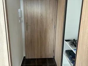 Pronájem bytu 1+kk, Brno, Markéty Kuncové, 39 m2