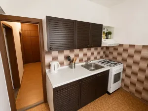 Prodej bytu 3+1, Zlín, Budovatelská, 68 m2