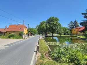 Prodej rodinného domu, Březová-Oleško, 298 m2