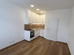 Pronájem bytu 2+kk, Praha - Vinohrady, Nad olšinami, 47 m2