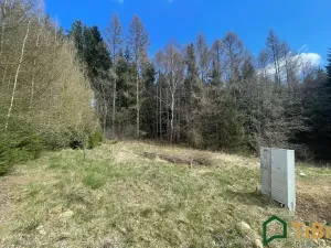 Prodej domu na klíč, Gruna, 90 m2