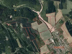 Dražba louky, Traplice, 1953 m2