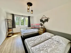 Prodej apartmánu, Želnava, 55 m2