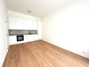 Prodej bytu 2+kk, Brno, třída Generála Píky, 84 m2