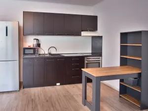 Prodej bytu 2+kk, Liberec, Jugoslávská, 45 m2