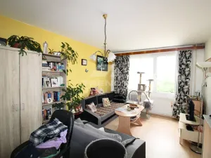 Prodej bytu 1+1, Plzeň, Žlutická, 39 m2