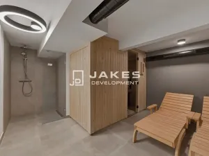 Pronájem bytu 1+kk, Praha - Břevnov, Pod Drinopolem, 30 m2