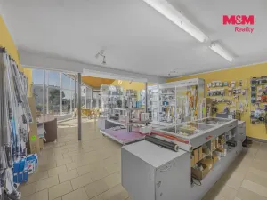 Prodej obchodního prostoru, Pardubice - Zelené Předměstí, Mikulovická, 330 m2