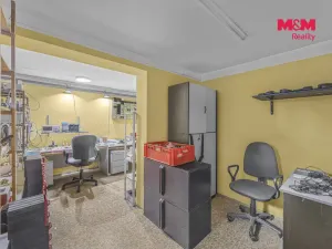 Prodej obchodního prostoru, Pardubice - Zelené Předměstí, Mikulovická, 330 m2